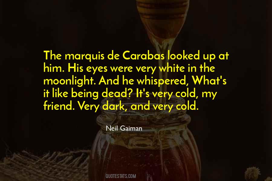 Dark Cold Quotes #518439