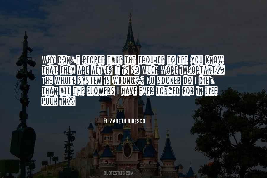 Don't Know What I Have Done Wrong Quotes #131719