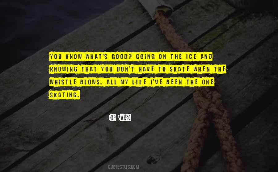 Don't Know What You Have Quotes #1330082