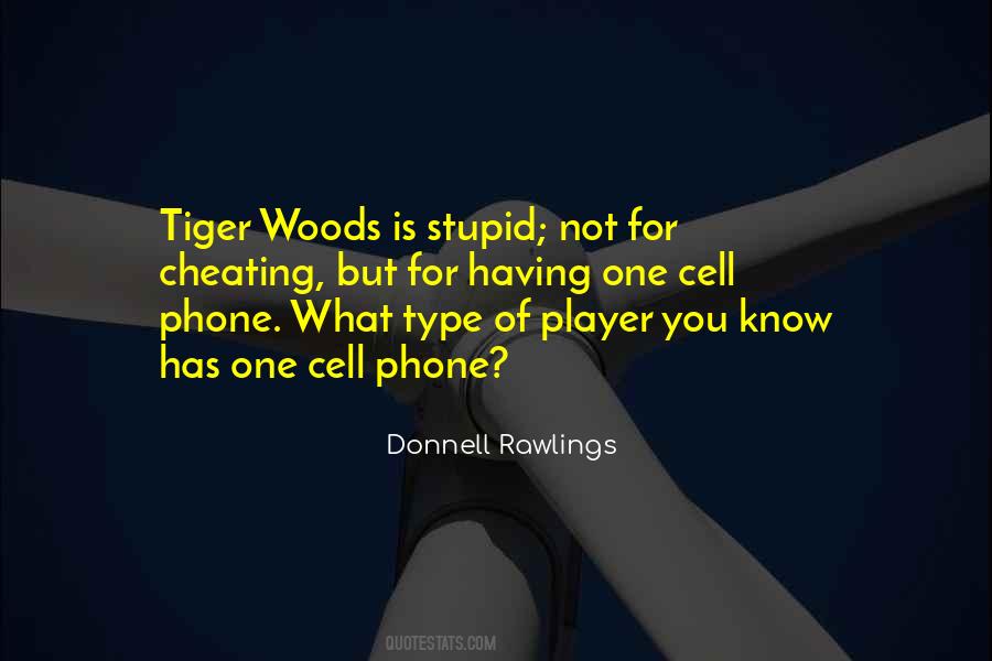 I Know You Are Cheating On Me Quotes #381912