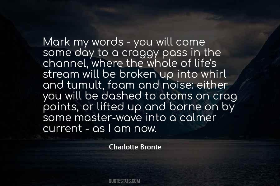The Day You Come In My Life Quotes #1075165