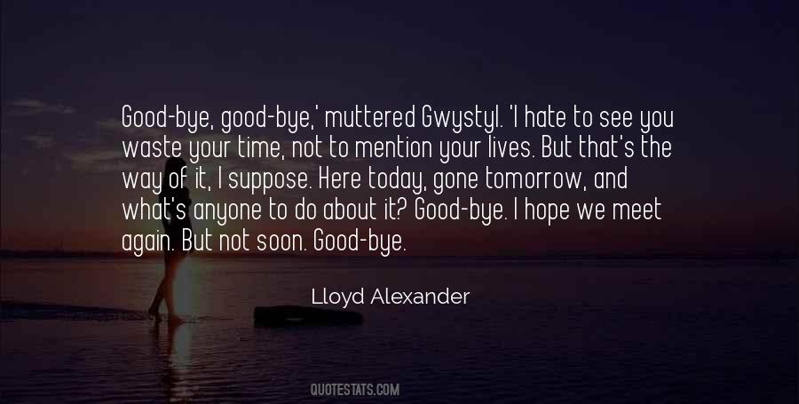 I Have No Time To Hate Anyone Quotes #1524933