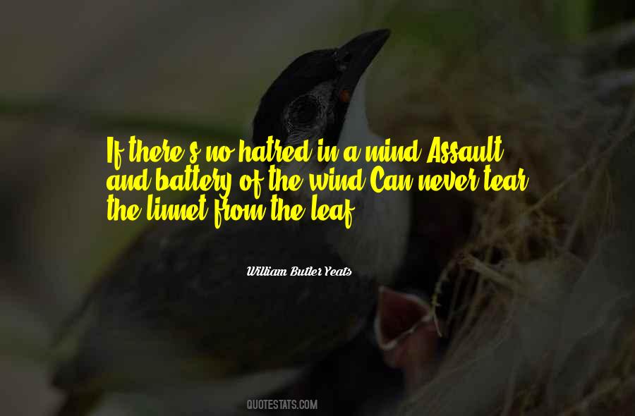 Quotes About No Wind #781640