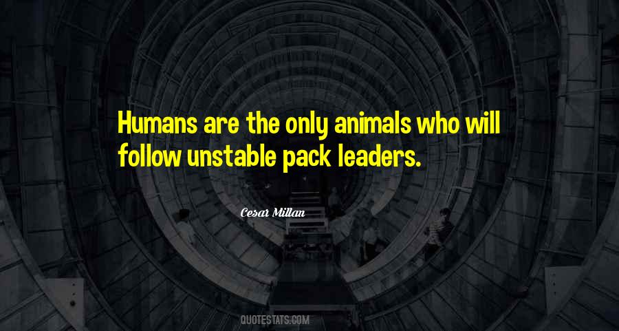 Follow Leader Quotes #947404