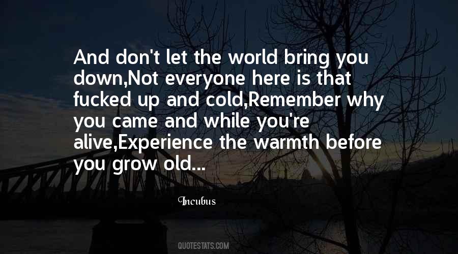 Don't Let The World Bring You Down Quotes #1551797