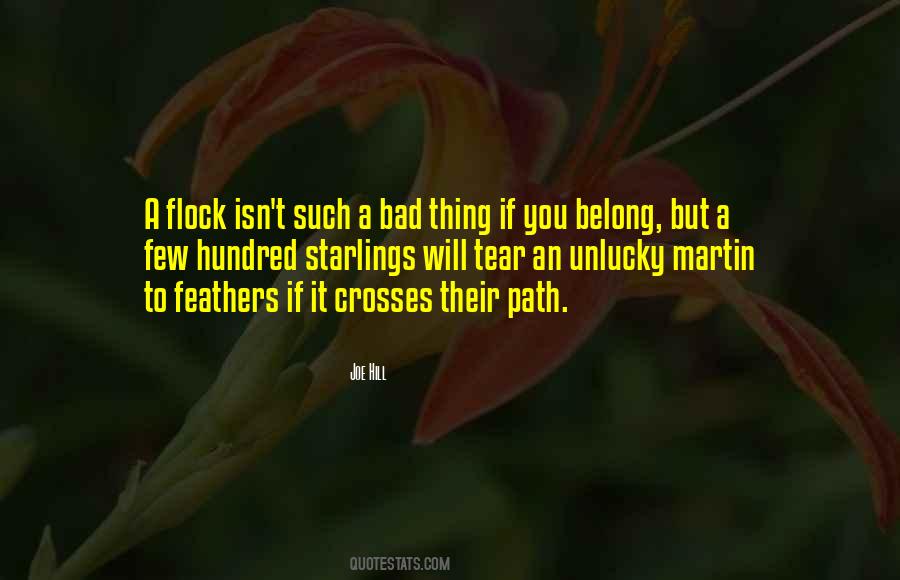 If You Belong Quotes #1801129