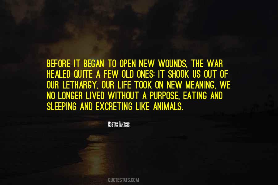 Before War Quotes #258842