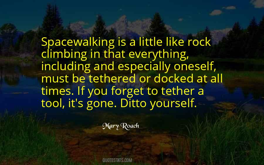 Rock And Rock Quotes #30398