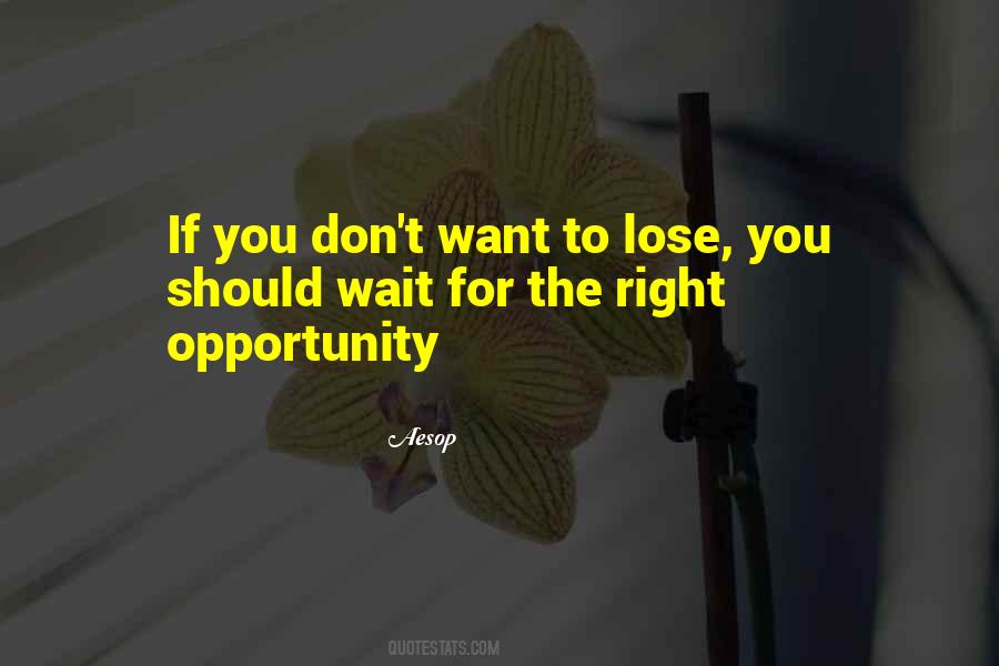 Don't Lose The Opportunity Quotes #1544396