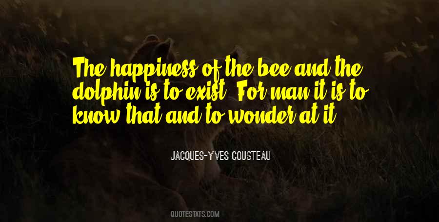 Joy And Wonder Quotes #1447146