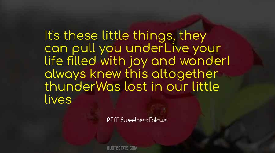 Joy And Wonder Quotes #1684650
