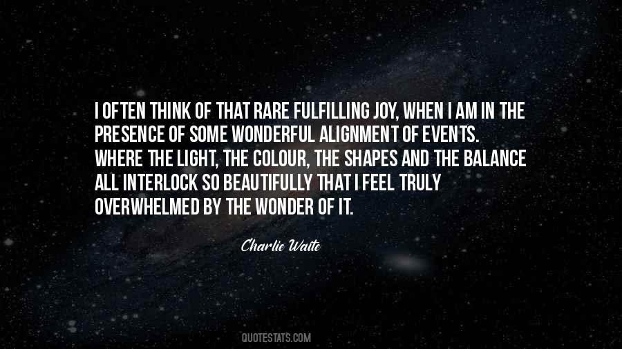 Joy And Wonder Quotes #845411