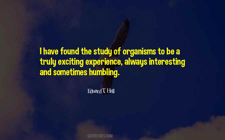 Abraham Lincoln Mercy Quotes #693304