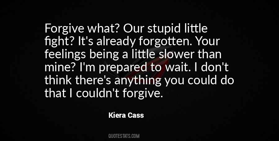 We Fight Over Stupid Things Quotes #1346139