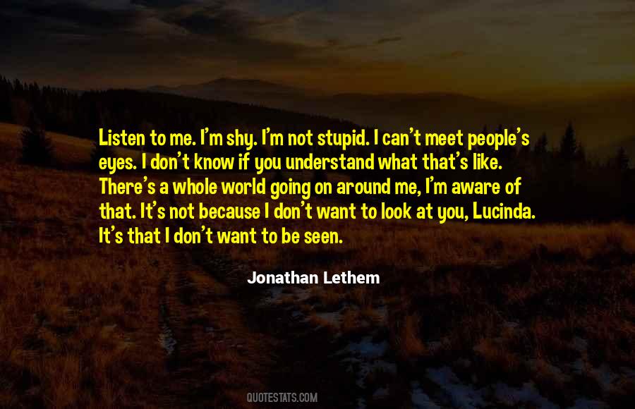 Don't Meet Me Quotes #707856