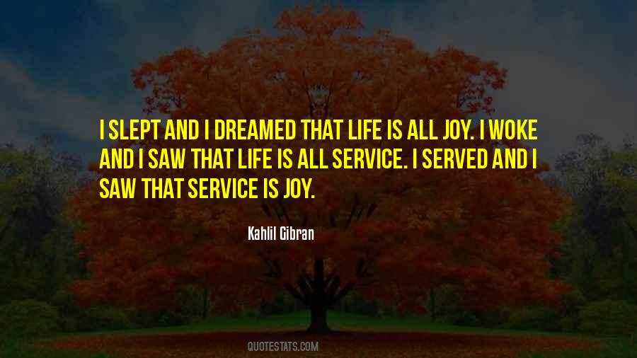 I Slept And Dreamed Quotes #957505