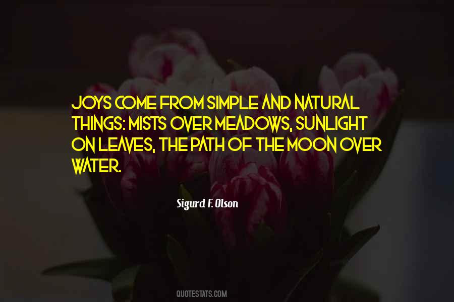 Quotes About The Moon And Water #220722