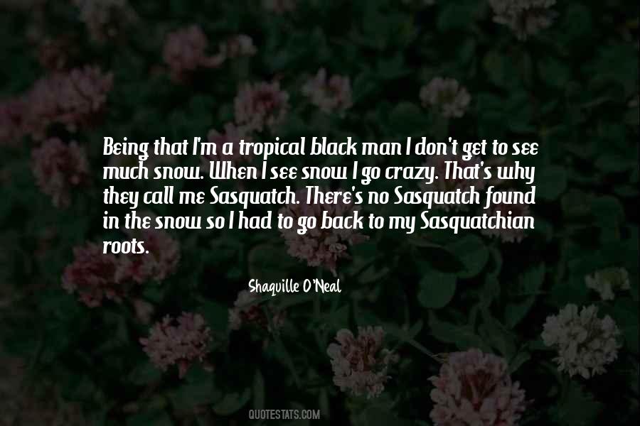 Back To My Roots Quotes #1684721