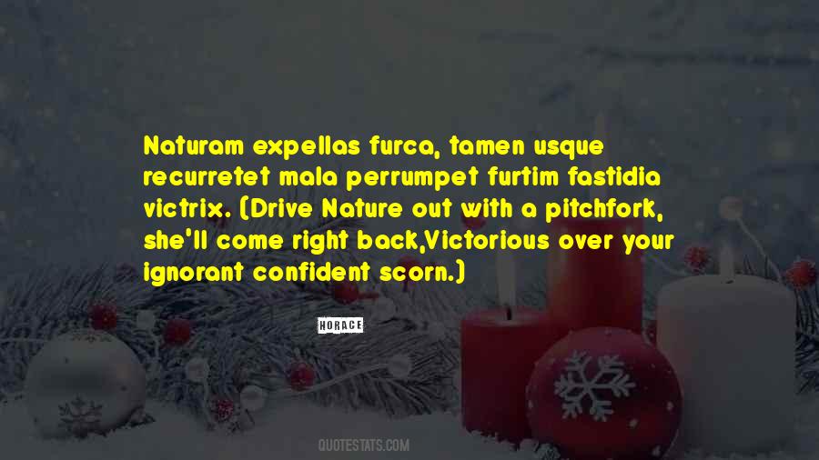 Your Drive Quotes #446266