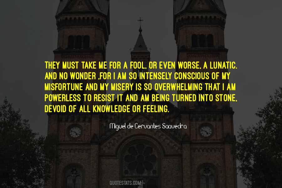 Feeling Insane Quotes #1871327