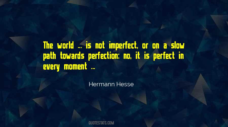 Imperfect Perfect Quotes #740066