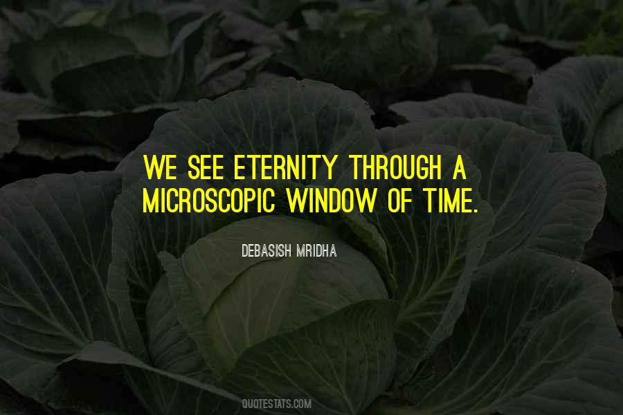 Through A Window Quotes #247827