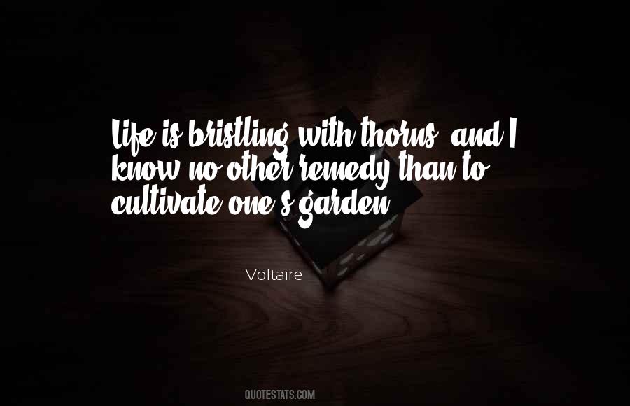 We Must Cultivate Our Garden Quotes #409728
