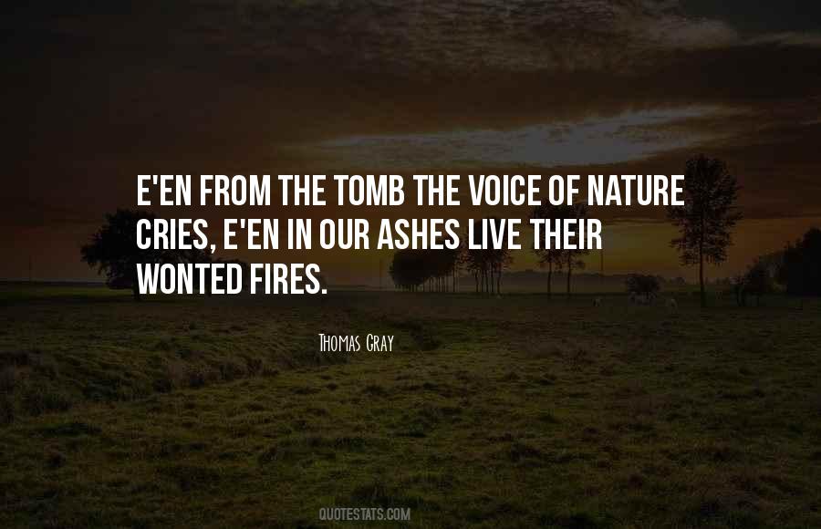 No Ashes In The Fire Quotes #495554