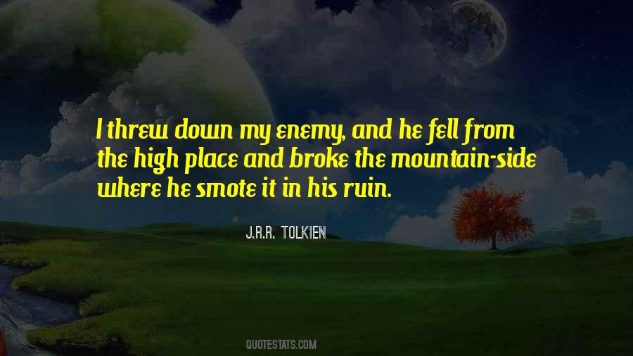 The Far Side Of The Mountain Quotes #1003991