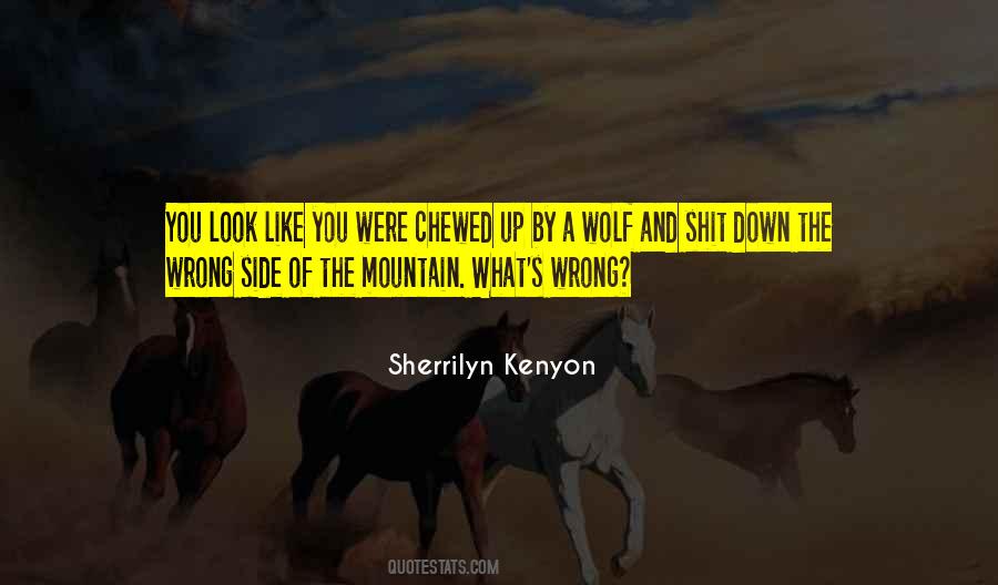 The Far Side Of The Mountain Quotes #1578939