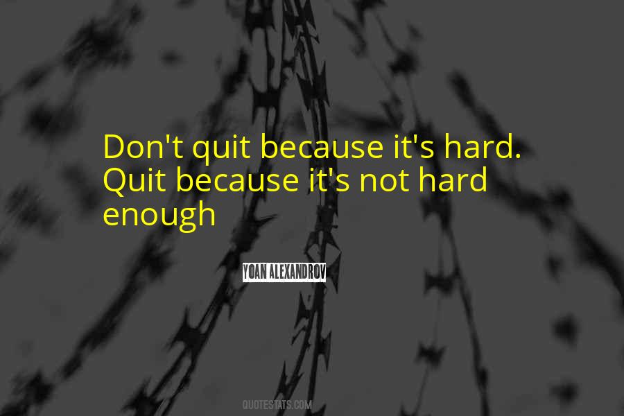 Don't Quit Inspirational Quotes #1081441