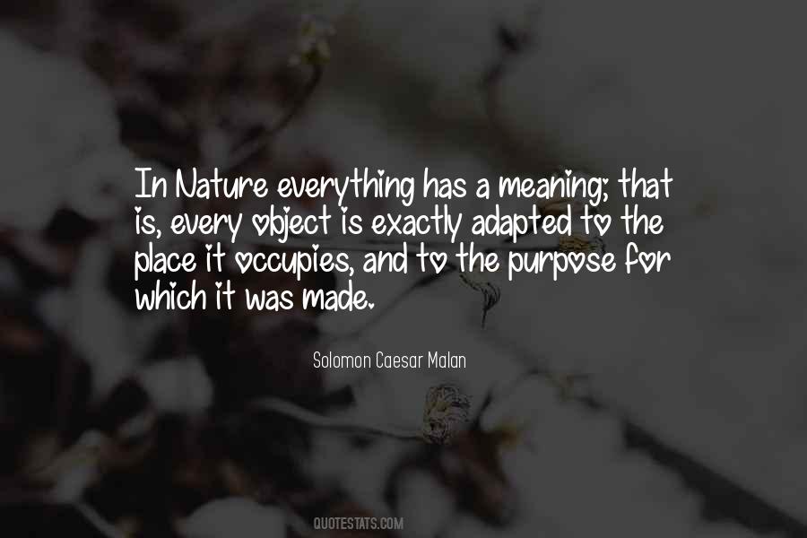 Everything Has Meaning Quotes #1134754