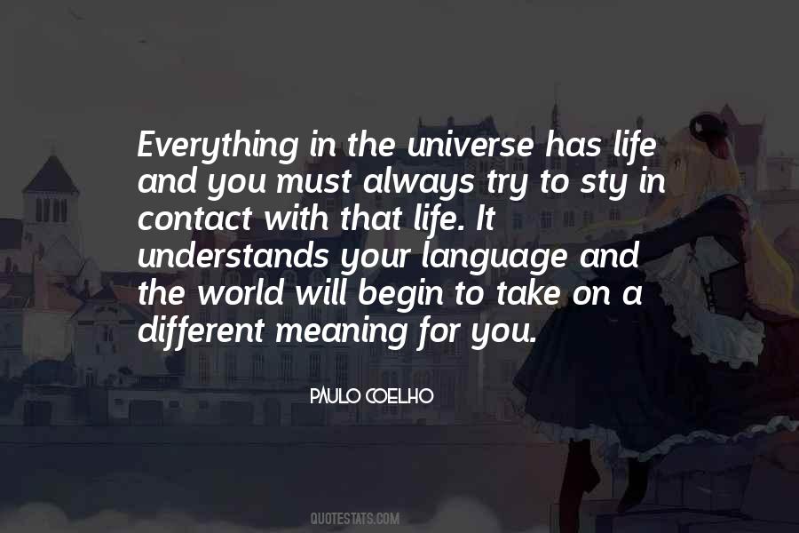 Everything Has Meaning Quotes #1289598