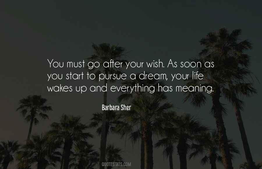 Everything Has Meaning Quotes #1758848