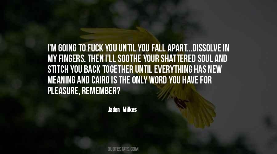 Everything Has Meaning Quotes #217114