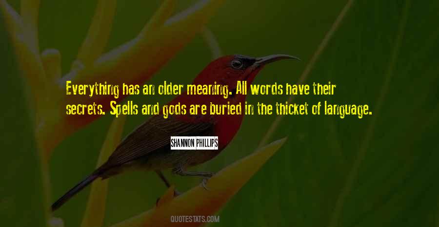 Everything Has Meaning Quotes #280807