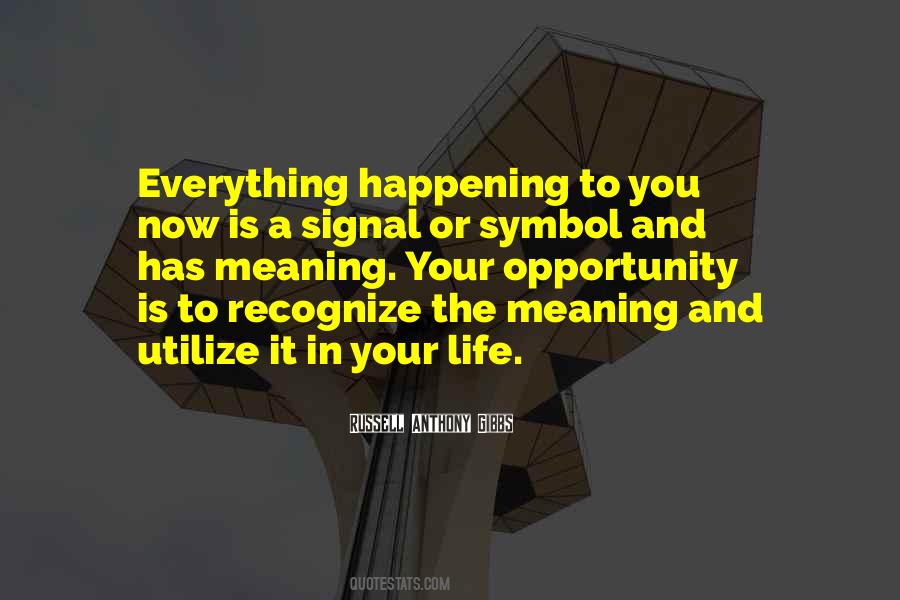 Everything Has Meaning Quotes #534703