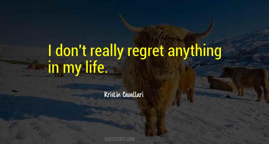 Don't Regret Anything Quotes #97025
