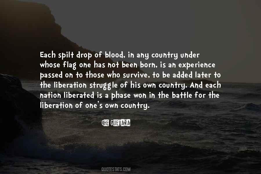 One Nation One Flag Quotes #530733
