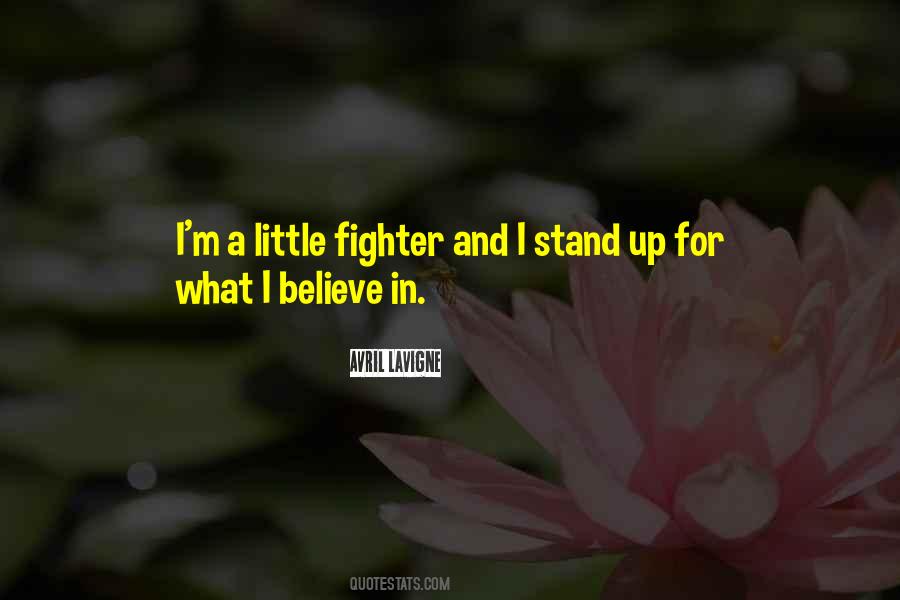 My Little Fighter Quotes #766793