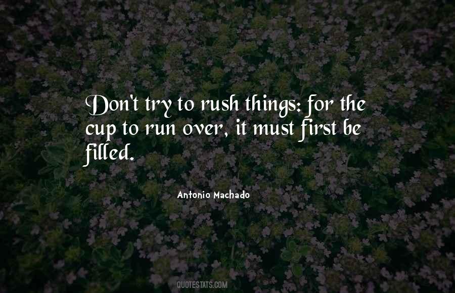 Don't Rush Things Quotes #178978