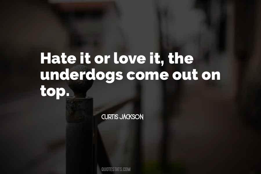 Love It Or Hate It Quotes #673017
