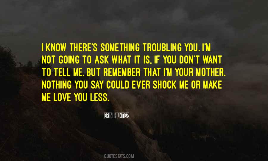 Don't Say You Love Me Quotes #1159306
