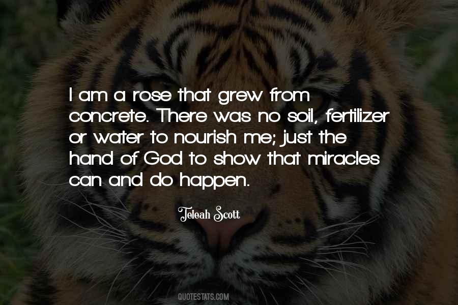 I Am A Rose Quotes #1269626