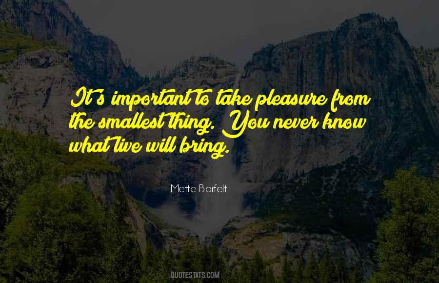 Smallest Things Take Up Quotes #122886