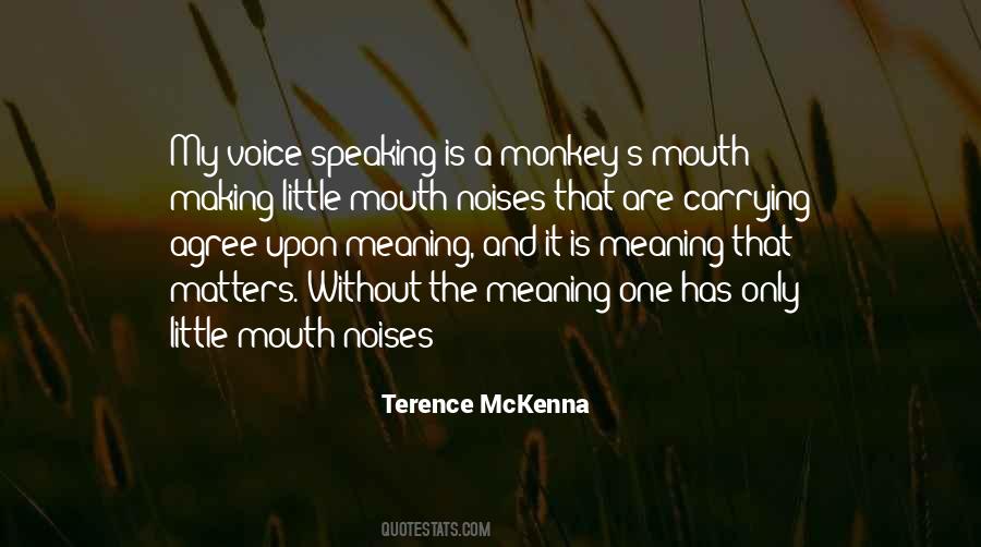 Making Meaning Quotes #616923