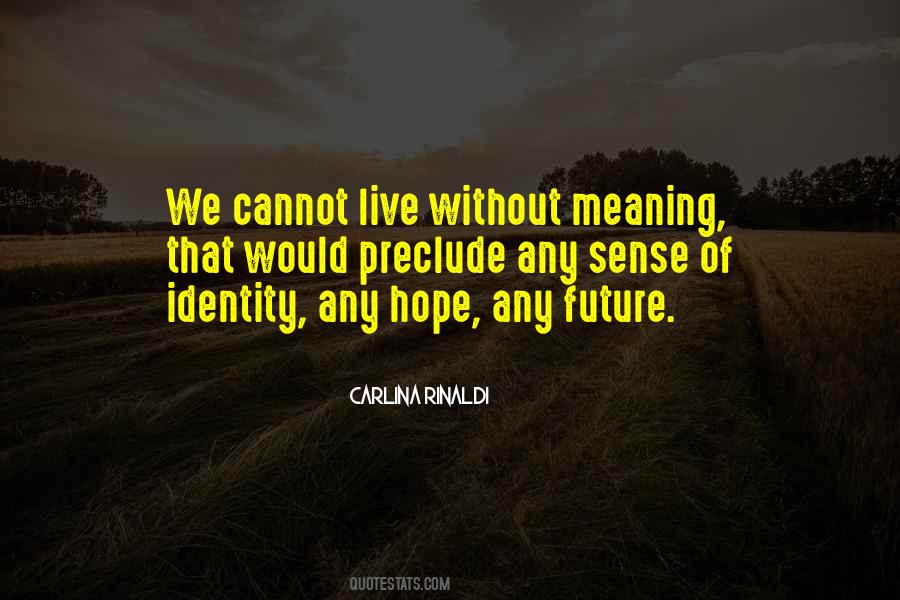 Making Meaning Quotes #639210