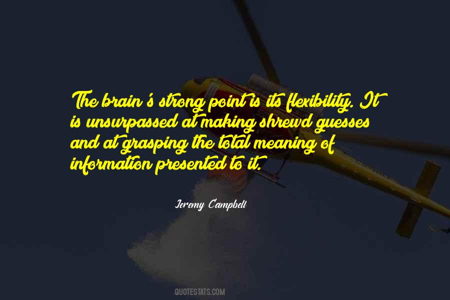 Making Meaning Quotes #695252