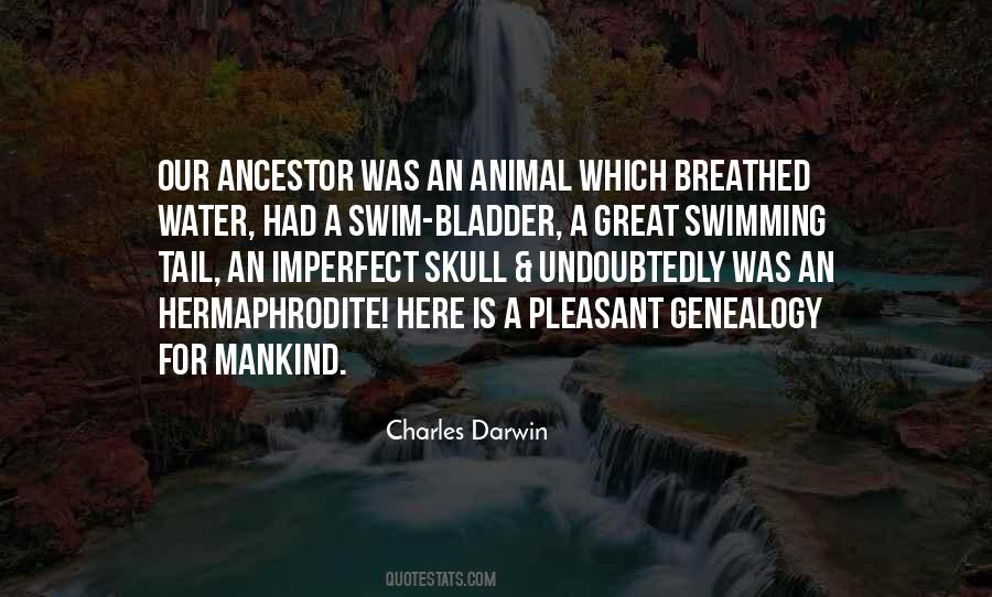 Great Animal Quotes #425699