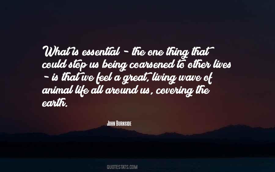 Great Animal Quotes #727405
